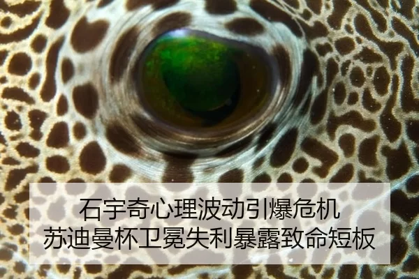 石宇奇心理波动引爆危机 苏迪曼杯卫冕失利暴露致命短板